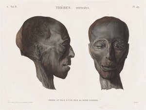 Beschrijving van Egypte: Thebe. Hypogees Vol. II, Pl. 49 door Antoine Maxime Monsaldy