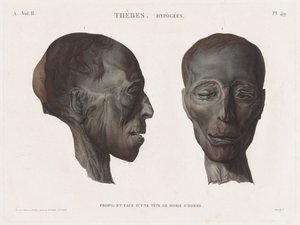 Beschrijving van Egypte: Thebe. Hypogees Vol. II, Pl. 49 door Antoine Maxime Monsaldy