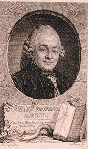 Portret van Johann Friedrich Meckel (1724-76) gegraveerd door John Schleuen (gravure)