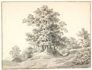 Landschap met grote bomen bij de Elbe. Buxtehude