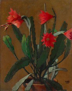 Stilleven met bloeiende cactus door Anton Hula