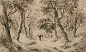 Een houtverzamelaar in het bos