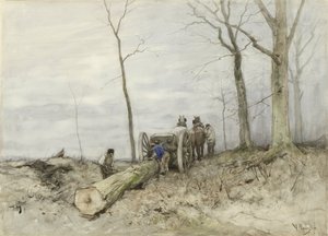 De Malllejan
