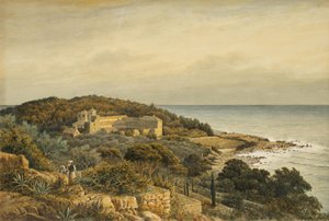 Lacroma in Dalmatië