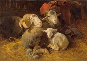 Schapen in de stal door Anton Schrodl