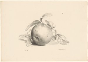 Appel