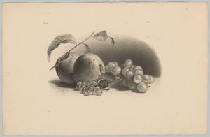 Appels, bessen, braam en druiven door Anton Weiss