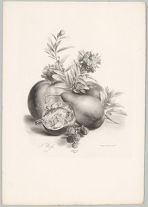 Bloemen, appels, peer, granaatappel en bramen