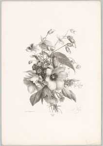 Diverse bloemen