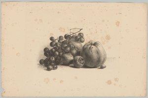 Druiven en appels