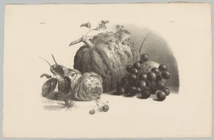 Pompoen, druiven, roos en aardbeien