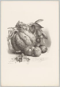 Pompoen, tomaten en kersen door Anton Weiss