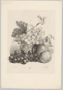 Rode en witte druiven en appels