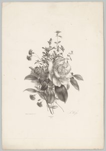 Rozen, anjers en fuchsia door Anton Weiss