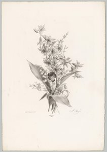 Viooltje en hyacint- en klokvormige bloemen