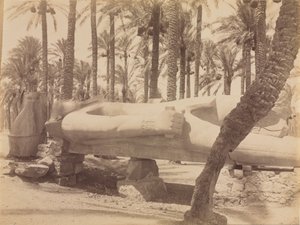 Standbeeld van Ramses in Saqqara door Antonio Beato