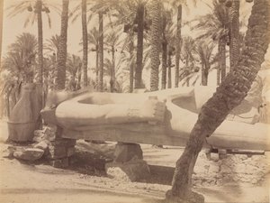Standbeeld van Ramses in Saqqara door Antonio Beato