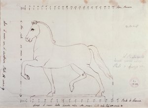 Studie voor een paard voor een ruitermonument (tekening) door Antonio Canova