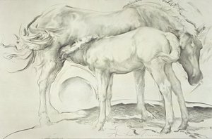 Paarden bij Coolmore, 1990