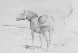 Paarden bij Coolmore, 1990 door Antonio Ciccone