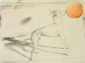 Ruimtehond