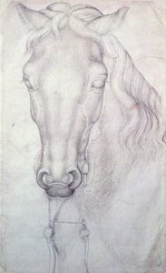 Hoofd van een paard door Antonio Pisanello