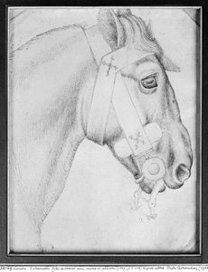 Hoofd van een paard, uit het Vallardi Album door Antonio Pisanello