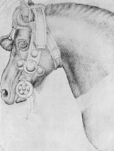 Hoofd van een paard, uit het Vallardi-album door Antonio Pisanello