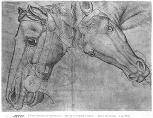 Paardenhoofden, uit het Vallardi-album door Antonio Pisanello