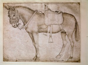 Muilezel tuig. Tekening door Antonio Pisano, genaamd il Pisanello