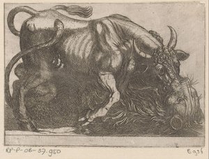 Een stier vechtend met een leeuw door Antonio Tempesta