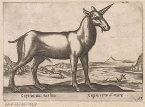 Steenbok als zeedier door Antonio Tempesta