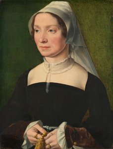 Vrouw van een Lid van de de Hondecoeter Familie, 1543 door Antwerp 16th Century