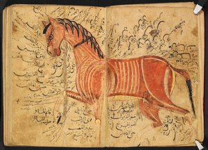 Paard, uit 
