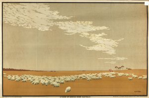 Een Kudde Merino Schapen - Australië, uit de serie 