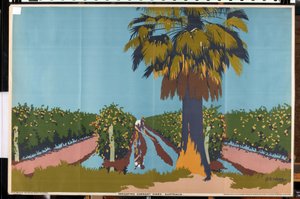 Besproeien van krentenstruiken - Australië