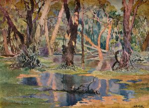 Quindanning Pool, c1927