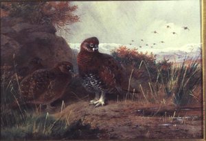 Patrijzen in een Winterlandschap door Archibald Thorburn