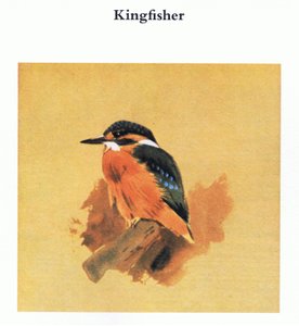 IJsvogel, uitgegeven door Book Club Associates, 1972
