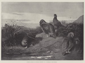 Sportonderwerpen, Dageraad op de twaalfde door Archibald Thorburn