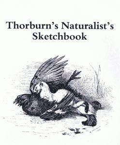 Titelpagina (Hermelijn en Wildvogel), uitgegeven door Book Club Associates door Archibald Thorburn