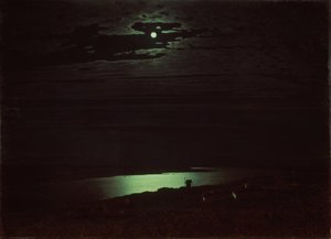 Maanverlichte Nacht op de Dnjepr