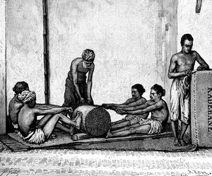 Kaneelverpakking, India, 1895