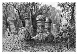 Ruïnes van een Ahom-tempel, Dinajpur, Boven-Assam, India, 1895