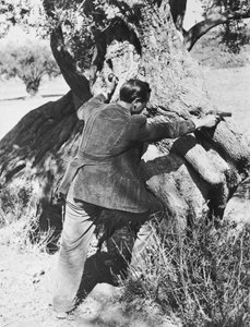 Salvatore Giuliano wijst een pistool, 1937