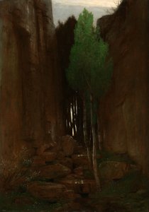 Spring in a Narrow Gorge (Bron in een rotskloof) door Arnold Böcklin