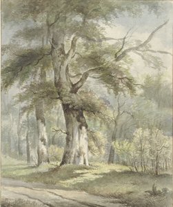Bosgezicht door Arnoldus Johannes Eymer