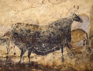 Zwarte Koe. Grotschildering van Lascaux, ca. 16.000-15.000 v.Chr.