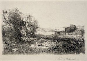 Eendenvijver