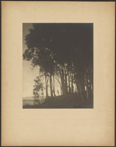 Dansende nimf door Arthur F. Kales